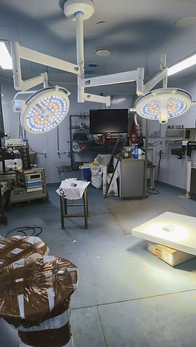 Triple Arm Double 48+48 LED Dome Surgical OT Light with Integrated Monitor : STRIVE PRO - Image 3